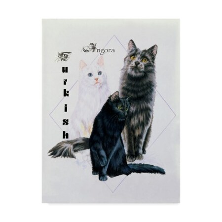 Trademark Fine Art Barbara Keith 'Turkish Angora' Canvas Art, 14x19 ALI25236-C1419GG